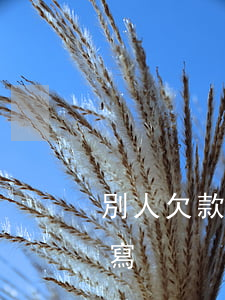 別人欠款起訴書怎么寫（別人欠錢起訴信怎么寫）