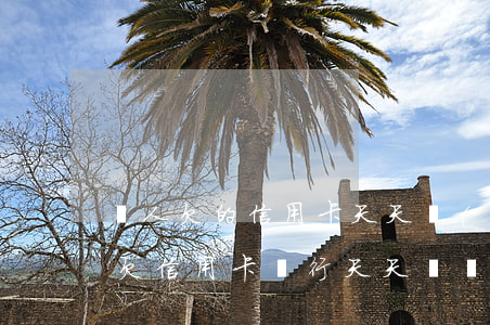 別人欠的信用卡天天來(lái)找我 別人欠信用卡銀行天天騷擾我怎么辦
