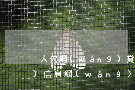 別人欠網(wǎng)貸一直給我發(fā)信息(網(wǎng)貸還完后還有人發(fā)信息說(shuō)欠錢)