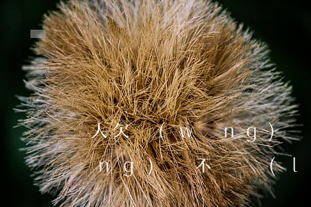 別人欠網(wǎng)貸不還(別人欠網(wǎng)貸不還,聯(lián)系人寫(xiě)我手機(jī)號(hào)碼身份證怎么辦)
