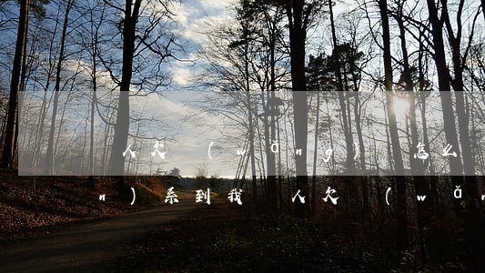 別人欠網(wǎng)貸怎么會聯(lián)系到我(別人欠網(wǎng)貸怎么會聯(lián)系到我)