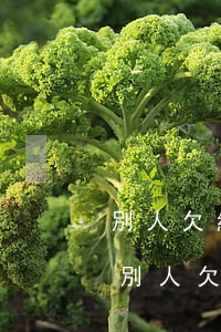 別人欠網(wǎng)貸我被騷擾怎么投訴(別人欠網(wǎng)貸給我打騷擾電話怎么處理)