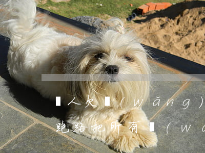 別人欠網(wǎng)貸的錢(qián)跑路(把所有網(wǎng)貸借出來(lái)跑路)