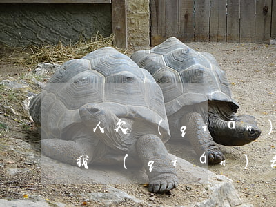 別人欠錢(qián)法院起訴程序 別人欠我錢(qián)去法院起訴需要什么資料