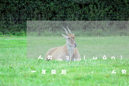 別人欠錢2萬(wàn)元超過(guò)一年能起訴嗎-別人欠錢2萬(wàn)元超過(guò)一年能起訴嗎怎么辦