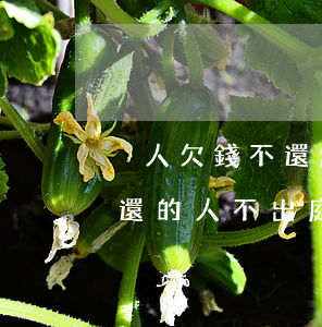 別人欠錢不還怎么起訴上庭流程(起訴欠錢不還的人不出庭怎么辦)