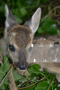 別人欠錢不還該起訴嗎(別人欠錢不還該起訴嗎法院)