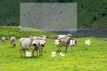 別人欠錢不還起訴咱寫(別人欠錢不還有欠條起訴書怎么寫)