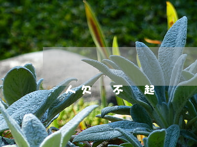 別人欠錢不還起訴嗎 別人欠錢不還可以告他嗎