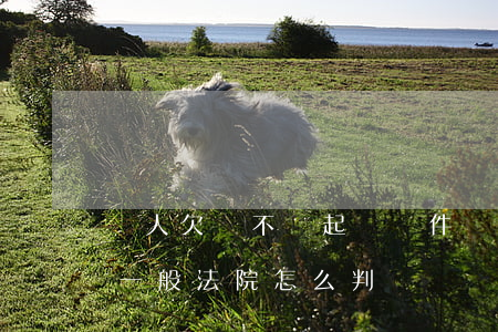 別人欠錢不還起訴條件(別人欠錢不還起訴后一般法院怎么判)