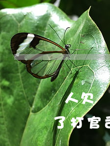 別人欠錢到期了打官司有效嗎(別人欠錢到期了打官司有效嗎怎么處理)