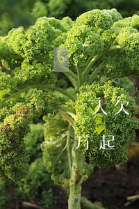 別人欠錢去哪兒起訴-別人欠我錢去哪個地方起訴