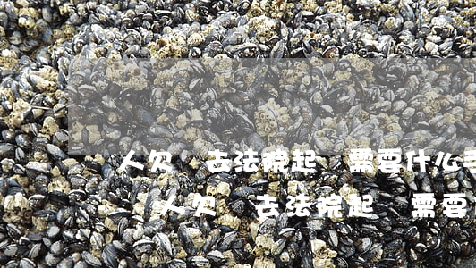 別人欠錢去法院起訴需要什么手續(xù)-別人欠錢去法院起訴需要什么手續(xù)和證據(jù)