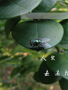 別人欠錢去法院起訴需要什么資料-別人欠錢去法院起訴需要什么資料呢