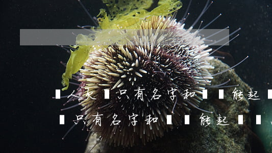 別人欠錢只有名字和電話能起訴嗎-別人欠錢只有名字和電話能起訴嗎怎么辦
