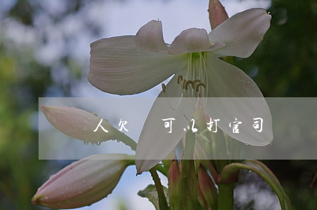別人欠錢可以打官司嗎 別人欠錢可以起訴嗎