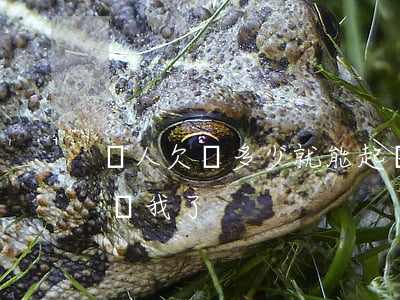 別人欠錢多少就能起訴(別人欠錢多少就能起訴我了)