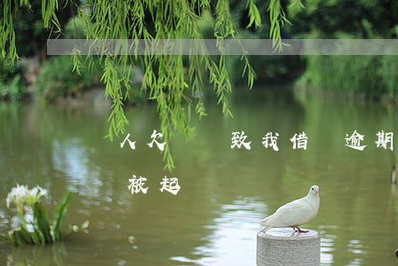 別人欠錢導致我借唄逾期(借唄欠2萬逾期了會被起訴嗎)