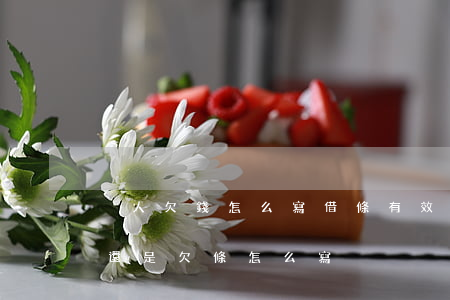 別人欠錢怎么寫借條有效(借錢給別人寫借條還是欠條怎么寫)