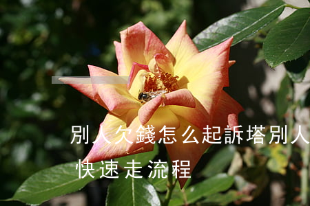 別人欠錢怎么起訴塔 別人欠錢怎么起訴可以快速走流程