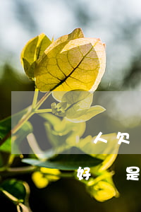 別人欠錢打借條好還是欠條好(借錢是打欠條好還是借條好)
