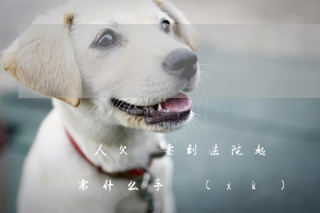 別人欠錢要到法院起訴 別人欠錢到法院起訴需什么手續(xù)