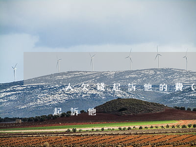 別人欠錢起訴他的費(fèi)用（別人欠錢起訴他）