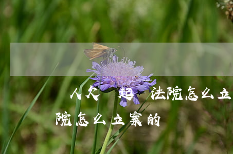 別人欠錢起訴法院怎么立案(別人欠錢起訴法院怎么立案的)