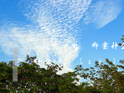 別人欠錢起訴都要什么-別人欠錢起訴都要什么手續(xù)