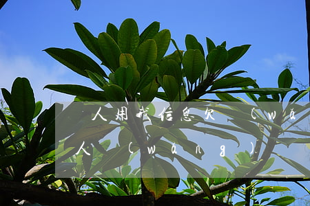 別人用我信息欠網(wǎng)貸不還(給別人網(wǎng)貸別人不還怎么辦)