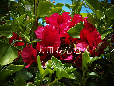 別人用我信息欠網貸不還(給別人網貸別人不還怎么辦)