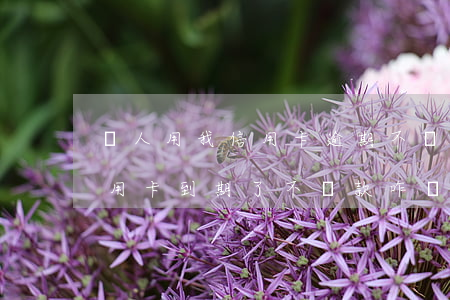 別人用我信用卡逾期不還-他人用了我的信用卡,到期了不還款咋辦
