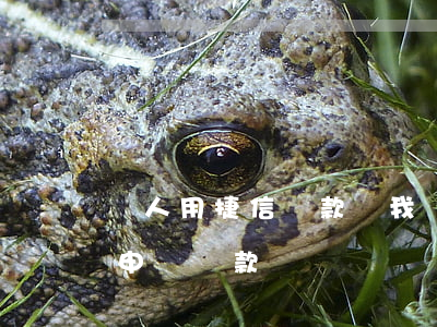 別人用捷信貸款讓我還錢(捷信在還款中還能申請貸款嗎)