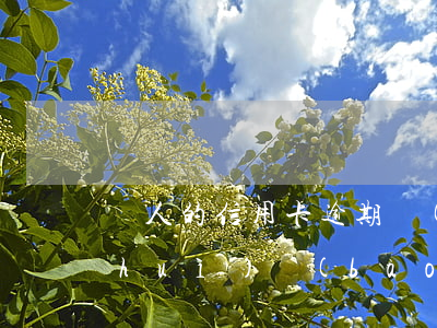 別人的信用卡逾期報(bào)案(銀行會(huì)報(bào)案信用卡逾期)