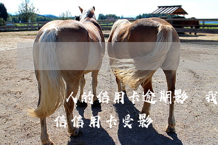 別人的信用卡逾期影響我的征信嗎(逾期上征信信用卡受影響)