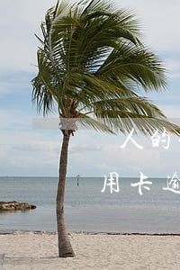別人的信用卡逾期我可以去還嗎-別人的信用卡逾期我可以去還嗎怎么辦