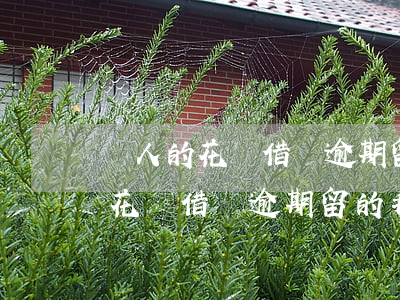 別人的花唄借唄逾期留的我的電話-別人的花唄借唄逾期留的我的電話怎么辦