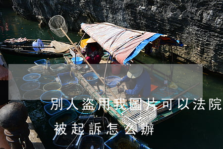 別人盜用我圖片可以法院起訴他嗎(盜用圖片被起訴怎么辦)