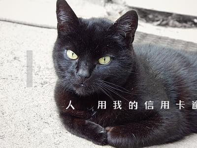 別人盜用我的信用卡逾期
