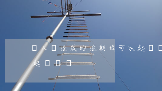 別人給造成的逾期我可以起訴嗎(有人逾期被起訴過嗎)