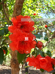 別人網(wǎng)貸逾期緊急聯(lián)系人寫我-朋友貸網(wǎng)貸逾期了,緊急聯(lián)系人留的我,對我有影響嗎