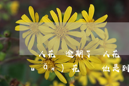 別人花唄逾期了(別人花唄逾期了,我轉(zhuǎn)花唄給他是到哪里)