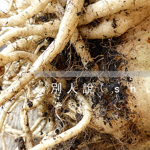 別人說(shuō)累想離婚怎么辦