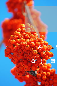 別人說我欠網(wǎng)貸怎么回復(fù)(我欠網(wǎng)貸別人欠我的)