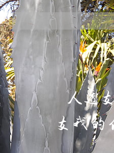 別人透支我的信用卡不還如何起訴-別人透支我的信用卡不還如何起訴他