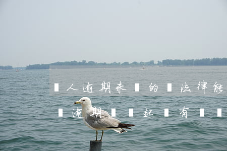 別人逾期未還的賬法律能要回來嗎-別人欠錢逾期沒還 起訴有賠償嗎