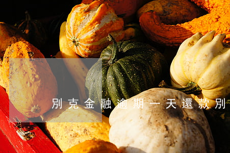 別克金融逾期一天還款(別克金融還款查詢)