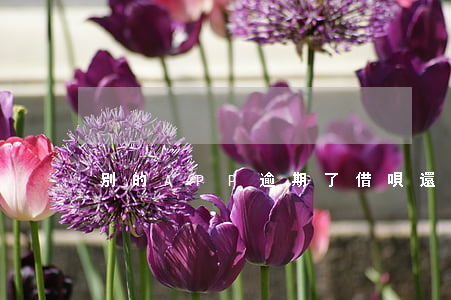 別的APP逾期了借唄還能用嗎-