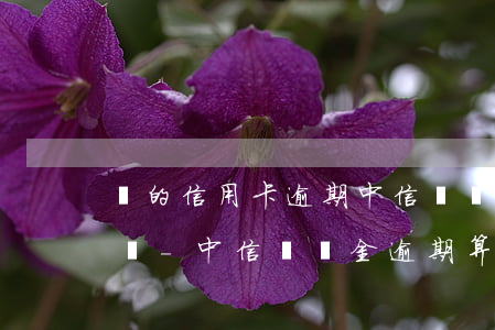 別的信用卡逾期中信圓夢金會(huì)有嗎-中信圓夢金逾期算是信用卡逾期還是借貸逾期