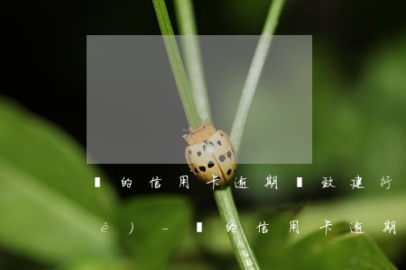 別的信用卡逾期導致建行信用卡凍結(jié)-別的信用卡逾期導致建行信用卡凍結(jié)怎么辦